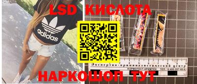 apvp Обь