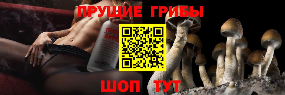 Псилоцибиновые грибы Psilocybine cubensis  Вход с VPN  Тимашёвск 